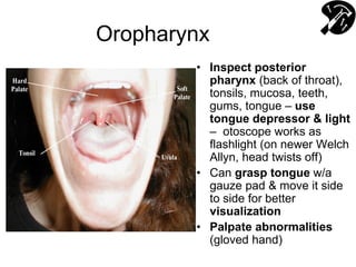 Oropharynx
• Inspect posterior
pharynx (back of throat),
tonsils, mucosa, teeth,
gums, tongue – use
tongue depressor & light
– otoscope works as
flashlight (on newer Welch
Allyn, head twists off)
• Can grasp tongue w/a
gauze pad & move it side
to side for better
visualization
• Palpate abnormalities
(gloved hand)
 