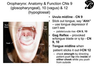 Oropharynx: Anatomy & Function CNs 9
(glosopharyngeal), 10 (vagus) & 12
(hypoglossal)
• Uvula midline - CN 9
• Stick out tongue, say “Ahh”
– use tongue depressor if
can’t see
– palate/uvula rise -CN 9, 10
• Gag Reflex – provoked
w/tongue blade or q tip - CN
9, 10
• Tongue midline when
patient sticks it outCN 12
– check strength by directing
patient push tip into inside of
either cheek while you push
from outside
 