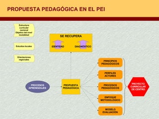 PROPUESTA PEDAGÓGICA EN EL PEI 