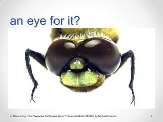 an eye for it?

Stock.xchng, http://www.sxc.hu/browse.phtml?f=download&id=1024965, by Michael Lorenzo

 