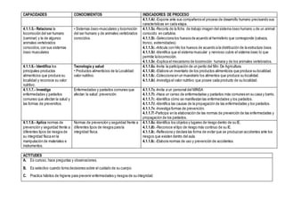 CAPACIDADES CONOCIMIENTOS INDICADORES DE PROCESO
4.1.1.4d.-Expone ante sus compañeros el proceso de desarrollo humano precisando sus
características en cada etapa.
4.1.1.5.- Relaciona la
locomoción del ser humano
(caminar) y la de algunos
animales vertebrados
conocidos, con sus sistemas
óseo musculares
• Sistemas óseo-musculares y locomoción
del ser humano y de animales vertebrados
conocidos.
4.1.1.5a.-Recorta de la ficha de trabajo imagen del sistema óseo humano u de un animal
conocido en cartulina.
4.1.1.5b.-Selecciona los huesos de acuerdo al hemisferio que corresponde (cabeza,
tronco, extremidades)
4.1.1.5c.-Articula con hilo los huesos de acuerdo a la distribución de la estructura ósea.
4.1.1.5d.-Identifica que el sistema muscular y nervioso cubre el sistema óseo lo que
permite la locomoción.
4.1.1.5e.-Explica el mecanismo de locomoción humana y de los animales vertebrados.
4.1.1.6.- Identifica los
principales productos
alimenticios que produce su
localidad y reconoce su valor
nutritivo.
Tecnología y salud
• Productos alimenticios de la Localidad:
valor nutritivo.
4.1.1.6a.-Invita la participación de un perito del Min. De Agricultura.
4.1.1.6b.-Elabora un inventario de los productos alimenticios que produce su localidad.
4.1.1.6c.-Colecciona en un muestrario los alimentos que produce su localidad.
4.1.1.6d.-Investiga el valor nutritivo que posee cada producto de su localidad.
4.1.1.7.- Investiga
enfermedades y parásitos
comunes que afectan la salud y
las formas de prevenirlos.
Enfermedades y parásitos comunes que
afectan la salud: prevención.
4.1.1.7a.-Invita a un personal del MINSA
4.1.1.7b.-Hace un censo de enfermedades y parásitos más comunes en su casa y barrio.
4.1.1.7c.-Identifica cómo se manifiestan las enfermedades y los parásitos.
4.1.1.7d.-Identifica las causas de la propagación de las enfermedades y los parásitos.
4.1.1.7e.-Investiga formas de prevención.
4.1.1.7f.-Participa en la elaboración de las normas de prevención de las enfermedades y
propagación de los parásitos.
4.1.1.8.- Aplica normas de
prevención y seguridad frente a
diferentes tipos de riesgos de
su integridad física en la
manipulación de materiales e
instrumentos.
Normas de prevención y seguridad frente a
diferentes tipos de riesgos para la
integridad física.
4.1.1.8a.-Identifica los objetos y lugares de riesgo dentro de su IE.
4.1.1.8b.-Reconoce eltipo de riesgo más continuo de su IE.
4.1.1.8c.-Reflexiona y declara las forma de evitar que se produzcan accidentes ante los
riesgos que existen dentro del aula.
4.1.1.8c.-Elabora normas de uso y prevención de accidentes.
ACTITUDES
A. Es curioso, hace preguntas y observaciones.
B. Es selectivo cuando toma decisiones sobre el cuidado de su cuerpo.
C. Practica hábitos de higiene para prevenir enfermedades y riesgos de su integridad.
 