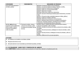 CAPACIDADES CONOCIMIENTOS INDICADORES DE PROCESOS
de la vida de las especies de
animales y plantas.
4.2.1.5. b.- Formula los objetivos de la investigación.
4.2.1.5. c.- Formula las hipótesis de trabajo o hipótesis científica.
4.2.1.5. d.- Elabora la metódica de la investigación.
4.2.1.5. e.- Definir los conceptos fundamentales.
4.2.1.5. f.- Determinar la muestra.
4.2.1.5. g.- Seleccionar y elaborar los instrumentos.
4.2.1.5. h.- Ejecuta la metodología diseñada (aplicar instrumentos y recolectar
datos).
4.2.1.5. i.- Procesa los datos recolectados (agrupar en tablas, gráficos).
4.2.1.5. j.- Analiza los resultados obtenidos.
4.2.1.5. k.- Elabora las conclusiones y recomendaciones.
4.2.1.5. l.- Redacta el informe final de la investigación (presentación,
introducción, desarrollo del trabajo, presentación de los resultados,
conclusiones, recomendaciones,anexos y referencias).
4.2.1.6.- Aplica técnicas
siguiendo normas establecidas
para el cuidado, crianza y
protección de animales y
cultivo de plantas.
 Técnicas de cuidado, crianza y
protección de animales y cultivo
de plantas de la localidad. Normas
técnicas.
4.2.1.6. a.- Busca y organiza información sobre técnicas de crianza y
protección de animales y cultivo de plantas.
4.2.1.6. b.- Identifica los procesos de crianza y protección de animales y cultivo
de plantas.
4.2.1.6. c.- Secuencia procesos y estrategias de crianza de animales y cultivo
de plantas.
4.2.1.6. d.- Ejecuta procesos y estrategias de crianza de animales y cultivo de
plantas.
4.2.1.6. e.- Reflexiona de los procesos ejecutados.
ACTITUDES
A. Es cuidadoso en el contacto con animales o plantas.
B. Respeta a toda forma de vida.
C. Demuestra atención a las necesidades que demandan las plantas y animales.
4.3.- EJE ORGANIZADOR: MUNDO FÍSICO Y CONSERVACIÓN DEL AMBIENTE
4.3.1.-COMPETENCIA: Identifica los cambios que se producen en el mundo físico valorando su importancia para la vida.
 