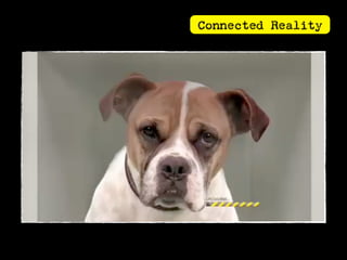 Connected Reality
 