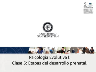 Psicología Evolutiva I.
Clase 5: Etapas del desarrollo prenatal.
 