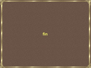 fin 