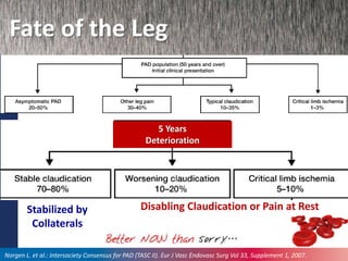 Fate of the Leg
Disabling Claudication or Pain at RestStabilized by
Collaterals
Norgen L. et al.: Intersociety Consensus for PAD (TASC II). Eur J Vasc Endovasc Surg Vol 33, Supplement 1, 2007.
5 Years
Deterioration
 