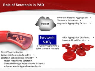 Role of Serotonin in PAD
Serotonin
5-HT2
5 Hydroxytryptamine-2
100% stored in Platelets
•Promotes Platelets Aggregation
•Thrombus Formation
•Augments Aggregating Factors
•RBCs Aggregation (Rouleaux)
•Increase Blood Viscosity
•Direct Vasoconstriction
•Collaterals: Serotonin Sensitive
•Serotonin Sensitivity is defined by
Hyper-reactivity to Serotonin
(increased by Age, Hypertension, ischemia
Atherosclerosis Hypercholesterolemia)
 