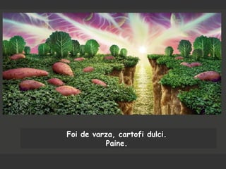 Foi de varza, cartofi dulci.
Paine.
 