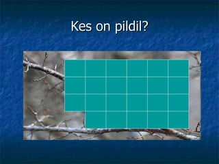 Kes on pildil? 