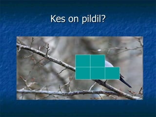 Kes on pildil? 
