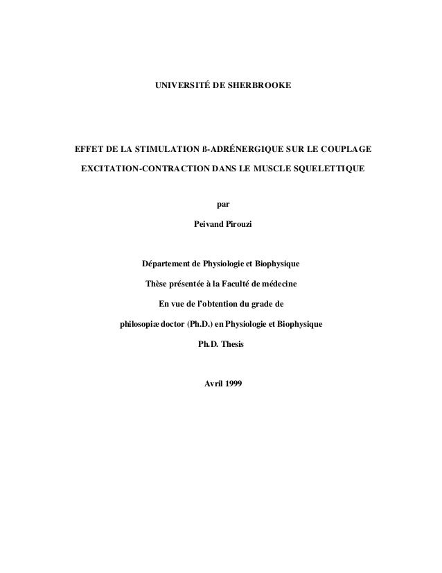 Cranfield university phd thesis