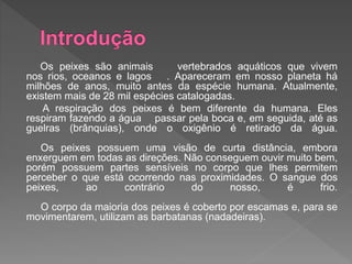 Os peixes são animais vertebrados aquáticos que vivem
nos rios, oceanos e lagos . Apareceram em nosso planeta há
milhões de anos, muito antes da espécie humana. Atualmente,
existem mais de 28 mil espécies catalogadas.
A respiração dos peixes é bem diferente da humana. Eles
respiram fazendo a água passar pela boca e, em seguida, até as
guelras (brânquias), onde o oxigênio é retirado da água.
Os peixes possuem uma visão de curta distância, embora
enxerguem em todas as direções. Não conseguem ouvir muito bem,
porém possuem partes sensíveis no corpo que lhes permitem
perceber o que está ocorrendo nas proximidades. O sangue dos
peixes, ao contrário do nosso, é frio.
O corpo da maioria dos peixes é coberto por escamas e, para se
movimentarem, utilizam as barbatanas (nadadeiras).
 