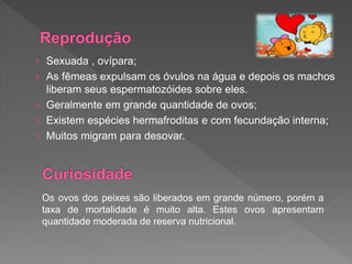 › Sexuada , ovípara;
› As fêmeas expulsam os óvulos na água e depois os machos
liberam seus espermatozóides sobre eles.
› Geralmente em grande quantidade de ovos;
› Existem espécies hermafroditas e com fecundação interna;
› Muitos migram para desovar.
Os ovos dos peixes são liberados em grande número, porém a
taxa de mortalidade é muito alta. Estes ovos apresentam
quantidade moderada de reserva nutricional.
 