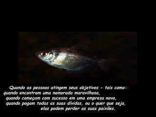 Quando as pessoas atingem seus objetivos - tais como:  quando encontram uma namorada maravilhosa,  quando começam com sucesso em uma empresa nova,  quando pagam todas as suas dívidas, ou o quer que seja,  elas podem perder as suas paixões. 