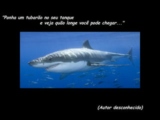 "Ponha um tubarão no seu tanque  e veja quão longe você pode chegar..." (Autor desconhecido) 