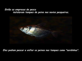 Então as empresas de pesca
instalaram tanques de peixe nos navios pesqueiros.

Eles podiam pescar e enfiar os peixes nos tanques como "sardinhas".

 