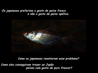 Os japoneses preferiam o gosto de peixe fresco
e não o gosto de peixe apático.

Como os japoneses resolveram esse problema?
Como eles conseguiram trazer ao Japão
peixes com gosto de puro frescor?

 