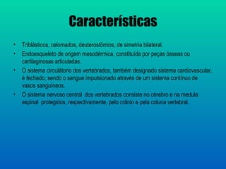 Características
•   Triblásticos, celomados, deuterostômios, de simetria bilateral.
•   Endoesqueleto de origem mesodérmica, constituída por peças ósseas ou
    cartilaginosas articuladas.
•   O sistema circulátorio dos vertebrados, também designado sistema cardiovascular,
    é fechado, sendo o sangue impulsionado através de um sistema contínuo de
    vasos sanguíneos.
•   O sistema nervoso central dos vertebrados consiste no cérebro e na medula
    espinal protegidos, respectivamente, pelo crânio e pela coluna vertebral.
 