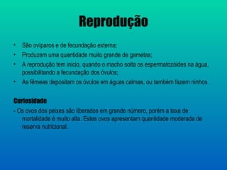 Reprodução
• São ovíparos e de fecundação externa;
• Produzem uma quantidade muito grande de gametas;
• A reprodução tem inicio, quando o macho solta os espermatozóides na água,
  possibilitando a fecundação dos óvulos;
• As fêmeas depositam os óvulos em águas calmas, ou também fazem ninhos.

Curiosidade
- Os ovos dos peixes são liberados em grande número, porém a taxa de
   mortalidade é muito alta. Estes ovos apresentam quantidade moderada de
   reserva nutricional.
 