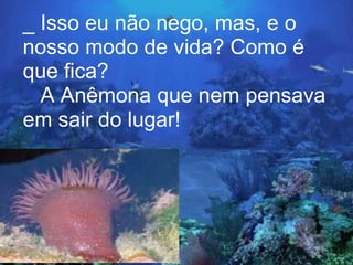 _ Isso eu não nego, mas, e o
nosso modo de vida? Como é
que fica?
  A Anêmona que nem pensava
em sair do lugar!
 