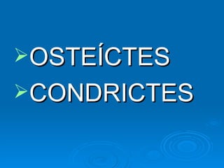 OSTEÍCTES CONDRICTES 