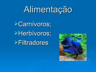 Alimentação Carnívoros; Herbívoros; Filtradores 