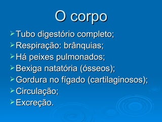 O corpo Tubo digestório completo; Respiração: brânquias; Há peixes pulmonados; Bexiga natatória (ósseos); Gordura no fígado (cartilaginosos); Circulação; Excreção. 