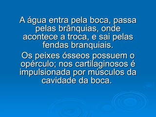 A água entra pela boca, passa pelas brânquias, onde acontece a troca, e sai pelas fendas branquiais. Os peixes ósseos possuem o opérculo; nos cartilaginosos é impulsionada por músculos da cavidade da boca.  