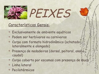 PEIXES Características Gerais: Exclusivamente de ambiente aquáticos Podem ser herbívoros ou carnívoros Corpo com formato hidrodinâmico (achatado lateralmente e alongado) Presença de nadadeiras (dorsal, peitoral, anal e caudal) Corpo coberto por escamas com presença de muco Linha lateral Pecilotérmicos 