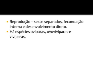    Reprodução – sexos separados, fecundação
    interna e desenvolvimento direto.
   Há espécies ovíparas, ovovivíparas e
    vivíparas.
 