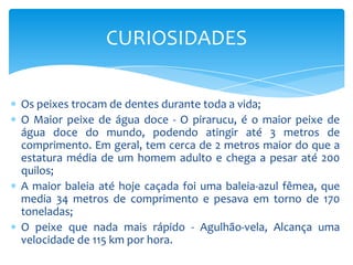 CURIOSIDADES

Os peixes trocam de dentes durante toda a vida;
O Maior peixe de água doce - O pirarucu, é o maior peixe de
água doce do mundo, podendo atingir até 3 metros de
comprimento. Em geral, tem cerca de 2 metros maior do que a
estatura média de um homem adulto e chega a pesar até 200
quilos;
A maior baleia até hoje caçada foi uma baleia-azul fêmea, que
media 34 metros de comprimento e pesava em torno de 170
toneladas;
O peixe que nada mais rápido - Agulhão-vela, Alcança uma
velocidade de 115 km por hora.
 