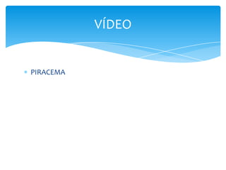 VÍDEO


PIRACEMA
 