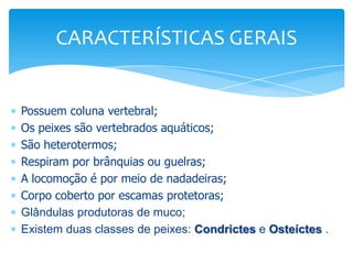 CARACTERÍSTICAS GERAIS


Possuem coluna vertebral;
Os peixes são vertebrados aquáticos;
São heterotermos;
Respiram por brânquias ou guelras;
A locomoção é por meio de nadadeiras;
Corpo coberto por escamas protetoras;
Glândulas produtoras de muco;
Existem duas classes de peixes: Condrictes e Osteíctes .
 