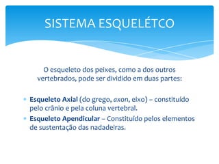 SISTEMA ESQUELÉTCO


    O esqueleto dos peixes, como a dos outros
  vertebrados, pode ser dividido em duas partes:

Esqueleto Axial (do grego, axon, eixo) – constituído
pelo crânio e pela coluna vertebral.
Esqueleto Apendicular – Constituído pelos elementos
de sustentação das nadadeiras.
 