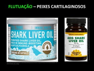 FLUTUAÇÃO – PEIXES CARTILAGINOSOS
http://www.therealthingonline.co.za/media/catalog/product/cache/1/image/9df78eab33525d08d6e5fb8d27136
e95/s/h/shark_liver_oil.jpg
http://media.astronutrition.com/media/catalog/product/cache/6/image/5e06319eda06f020e43594a9c2309
72d/f/i/file_25_39/astronutrition.com-Country-Life-AKG-Shark-Liver-Oil---30-softgels-31.jpg
 