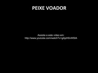 PEIXE VOADOR
Assista a este vídeo em:
http://www.youtube.com/watch?v=gAjzH0vWSIA
 