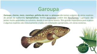 Garoupa
Garoupa, cherne, mero, marelaço, galinha-do-mar ou piracuca são nomes vulgares de várias espécies
de peixes da subfamília Epinephelinae, família Serranidae, ordem dos Perciformes. s garoupas são
peixes muito apreciados na culinária, devido à sua carne branca. Têm grande importância para a pesca
e algumas espécies são inclusivamente criadas em instalações apropriadas, em zonas costeiras.
 
