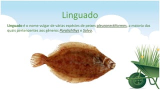 Linguado
Linguado é o nome vulgar de várias espécies de peixes pleuronectiformes, a maioria das
quais pertencentes aos gêneros Paralichthys e Solea.
 