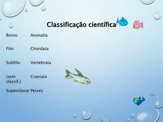 Classificação científica 
Reino: Animalia 
Filo: Chordata 
Subfilo: Vertebrata 
(sem 
classif.) 
Craniata 
Superclasse 
: 
Peixes 
 