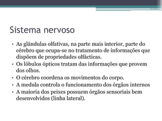 Sistema nervoso
• As glândulas olfativas, na parte mais interior, parte do
cérebro que ocupa-se no tratamento de informações que
dispõem de propriedades olfácticas.
• Os lóbulos ópticos tratam das informações que provem
dos olhos.
• O cérebro coordena os movimentos do corpo.
• A medula controla o funcionamento dos órgãos internos
• A maioria dos peixes possuem órgãos sensoriais bem
desenvolvidos (linha lateral).
 