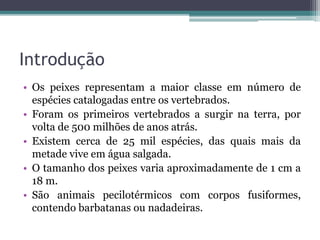 Introdução
• Os peixes representam a maior classe em número de
espécies catalogadas entre os vertebrados.
• Foram os primeiros vertebrados a surgir na terra, por
volta de 500 milhões de anos atrás.
• Existem cerca de 25 mil espécies, das quais mais da
metade vive em água salgada.
• O tamanho dos peixes varia aproximadamente de 1 cm a
18 m.
• São animais pecilotérmicos com corpos fusiformes,
contendo barbatanas ou nadadeiras.
 