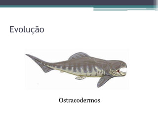 Evolução
Ostracodermos
 