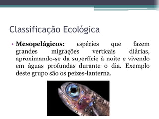 Classificação Ecológica
• Mesopelágicos: espécies que fazem
grandes migrações verticais diárias,
aproximando-se da superfície à noite e vivendo
em águas profundas durante o dia. Exemplo
deste grupo são os peixes-lanterna.
 