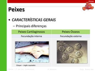 Peixes
Peixes
• CARACTERÍSTICAS GERAIS
– Principais diferenças
Peixes Cartilaginosos Peixes Ósseos
Fecundação interna Fecundação externa
Clásper – órgão copulador.
Ciências – 7º ano Ens. Fundamental 4º Bimestre Profa. Rebeca Vale
 