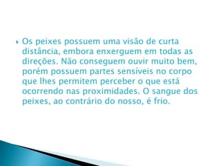 Os peixes possuem uma visão de curta distância, embora enxerguem em todas as direções. Não conseguem ouvir muito bem, porém possuem partes sensíveis no corpo que lhes permitem perceber o que está ocorrendo nas proximidades. O sangue dos peixes, ao contrário do nosso, é frio.