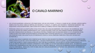 O CAVALO-MARINHO
• OS CAVALOS-MARINHOS, APESAR DE NÃO PARECEREM, SÃO DE FATO PEIXES – E NINJAS. O NOME DO SEU GÊNERO, HIPPOCAMPUS,
DERIVA DAS PALAVRAS GREGAS HIPPOS, QUE SIGNIFICA “CAVALO”, E CAMPUS, QUE SIGNIFICA “MONSTRO MARINHO”. OK,
PEQUENOS CAVALOS-MONSTROS, ISSO É BASTANTE SIMPLES. PORÉM, NÃO HÁ NADA SIMPLES A RESPEITO DELES.
• POR MAIS LONGE QUE AS ADAPTAÇÕES EVOLUTIVAS VÃO, OS CAVALOS-MARINHOS SÃO UM SACO DE SURPRESAS. SEUS
OLHOS SE MOVEM DE FORMA INDEPENDENTE, SEU LONGO FOCINHO TUBULAR LHES PERMITE PASSAR DESPERCEBIDO
QUANDO PERSEGUEM SUAS PRESAS, E UMA BOLSA VENTRAL PERMITE QUE OS MACHOS DEEM À LUZ A FILHOTES VIVOS.
COMO SE ISSO NÃO FOSSE SUFICIENTEMENTE ESTRANHO PARA UM PEIXE MINÚSCULO, CAVALOS-MARINHOS ESTÃO
ESCONDENDO MAIS UMAADAPTAÇÃO INTERESSANTE EM SUA CAUDA PREÊNSIL PARECIDA COM A DE UM MACACO:
SUPERFORÇA.
• CAUDAS DO CAVALO MARINHO SÃO COMPOSTAS DE TRINTAE SEIS SEGMENTOS ÓSSEOS. CADA SEGMENTO É CONSTITUÍDO
POR QUATRO PLACAS DE CANTO EM FORMA DE L, LIGADAS POR PEQUENAS ARTICULAÇÕES. QUANDO EXPOSTAS À PRESSÃO,
COMO POR EXEMPLO, O BICO ESMAGADOR DE UMA TARTARUGA MARINHA, ESTAS ARTICULAÇÕES PERMITEM QUE AS
PLACAS ÓSSEAS DESLIZEM E RODEM LIVREMENTE UMAS SOBRE AS OUTRAS SEM SEREM DANIFICADAS. OS OSSOS DA CAUDA
PODEM SER COMPRIMIDAS EM CERCA DE 60% DA SUA LARGURA ORIGINAL, ANTES DE OCORREREM DANOS PERMANENTES À
COLUNA VERTEBRAL. DESCULPE, TONY STARK, MAS OS CAVALOS-MARINHOS JÁ USAVAM UMA ARMADURA DO HOMEM DE
FERRO BEM ANTES DE VOCÊ.
 