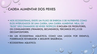CADEIA ALIMENTAR DOS PEIXES
• NOS ECOSSISTEMAS, EXISTE UM FLUXO DE ENERGIA E DE NUTRIENTES COMO
ELOS INTERLIGADOS DE UMA CADEIA, UMA CADEIA ALIMENTAR. NELA, OS
“ELOS” SÃO CHAMADOS DE NÍVEIS TRÓFICOS E INCLUEM OS PRODUTORES,
OS CONSUMIDORES (PRIMÁRIOS, SECUNDÁRIOS, TERCIÁRIOS ETC.) E OS
DECOMPOSITORES.
• EM UM ECOSSISTEMA AQUÁTICO, COMO UMA LAGOA POR EXEMPLO,
PODERÍAMOS ESTABELECER A SEGUINTE SEQÜÊNCIA:
• ECOSSISTEMA AQUÁTICO:
 