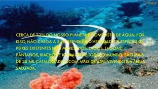 • CERCA DE 72% DO NOSSO PLANETA É COMPOSTO DE ÁGUA. POR
ISSO, NÃO CHEGA A SURPREENDER A DIVERSIDADE DE ESPÉCIES DE
PEIXES EXISTENTES NOS MARES, RIOS, LAGOS, LAGOAS,
PÂNTANOS, RIACHOS E IGARAPÉS DE TODO O MUNDO: SÃO MAIS
DE 25 MIL CATALOGADOS, COM MAIS DE 65% VIVENDO EM ÁGUA
SALGADA.
 