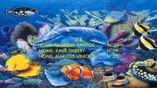3°B
NOME: NATASHA SANTOS N°25
NOME: KAUÊ THIERRY N°19
NOME: MARCOS VINICIUS N°22
 