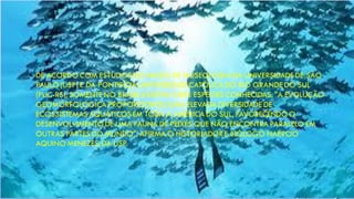 • DE ACORDO COM ESTUDOS DO MUSEU DE MUSEOLOGIA DA UNIVERSIDADEDE SÃO
PAULO (USP) E DA PONTIFÍCIA UNIVERSIDADE CATÓLICA DO RIO GRANDE DO SUL
(PUC-RS), SOMENTE NO BRASIL EXISTEM 3.885 ESPÉCIESCONHECIDAS. "A EVOLUÇÃO
GEOMORFOLÓGICA PROPORCIONOU UMA ELEVADA DIVERSIDADE DE
ECOSSISTEMAS AQUÁTICOSEM TODA A AMÉRICA DO SUL, FAVORECENDO O
DESENVOLVIMENTO DE UMA FAUNA DE PEIXES QUE NÃO ENCONTRA PARALELO EM
OUTRAS PARTES DO MUNDO", AFIRMA O HISTORIADORE BIÓLOGO NAÉRCIO
AQUINO MENEZES, DA USP.
 